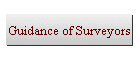 Guidance of Surveyors